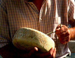 Fromage de brebis Béarn Pyrénées