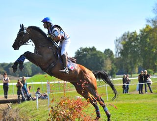 Pau capitale sportive en Béarn Pyrénées