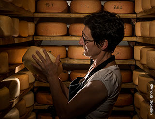 Fromage de brebis en Béarn Pyrénées